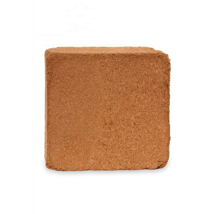 LADRILLO COCO UGRO XL ORGANIC coco.