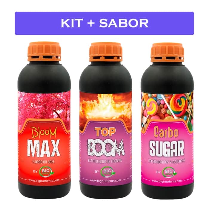 KIT + SABOR 0-M (Big Nutrients)