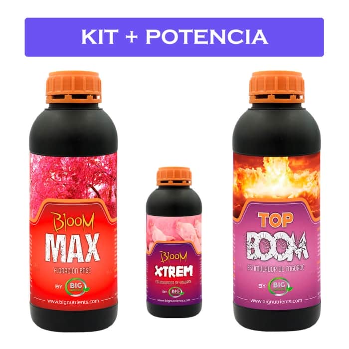 KIT + POTENCIA 0-M (Big Nutrients)