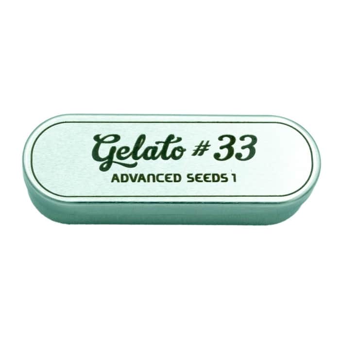 Paquete semillas marihuana Gelato 33 de Avanced Seeds
