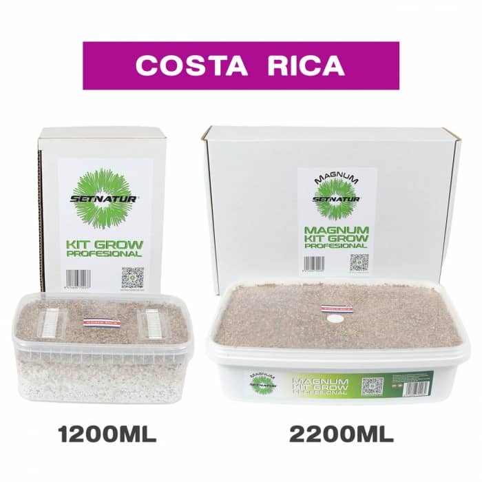 PAN DE SETAS COSTA RICA ENVASES