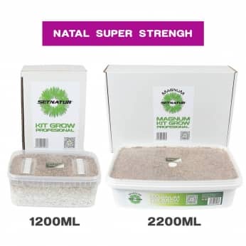 PAN DE SETAS NATAL SUPER STRENGTH ENVASES