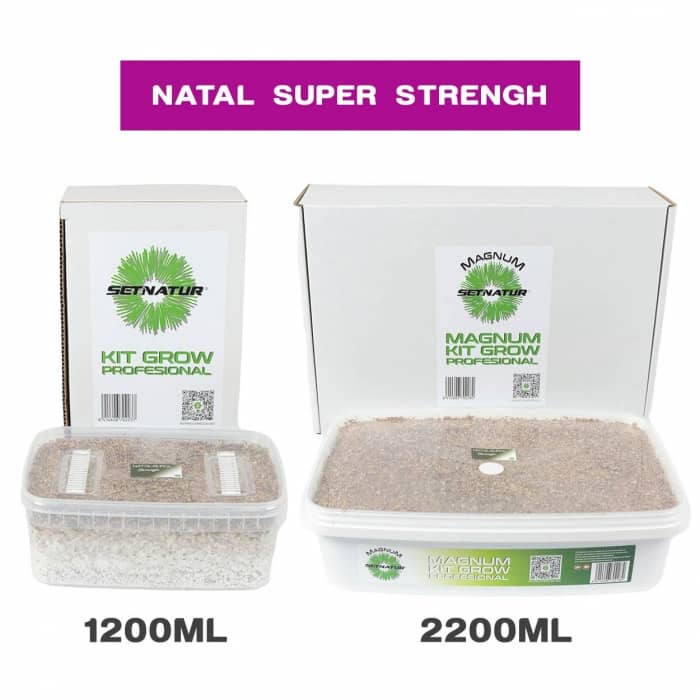 PAN DE SETAS NATAL SUPER STRENGTH ENVASES