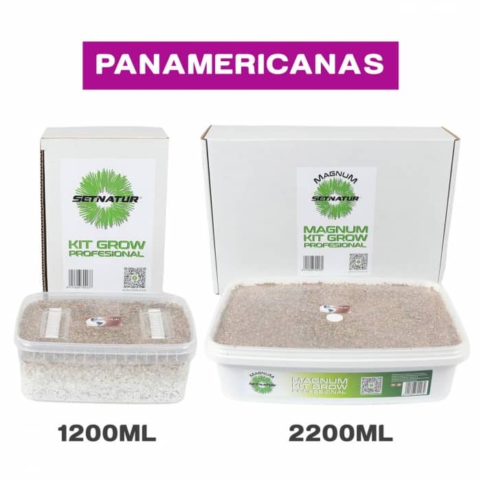 PAN DE SETAS PANAMERICANA ENVASES