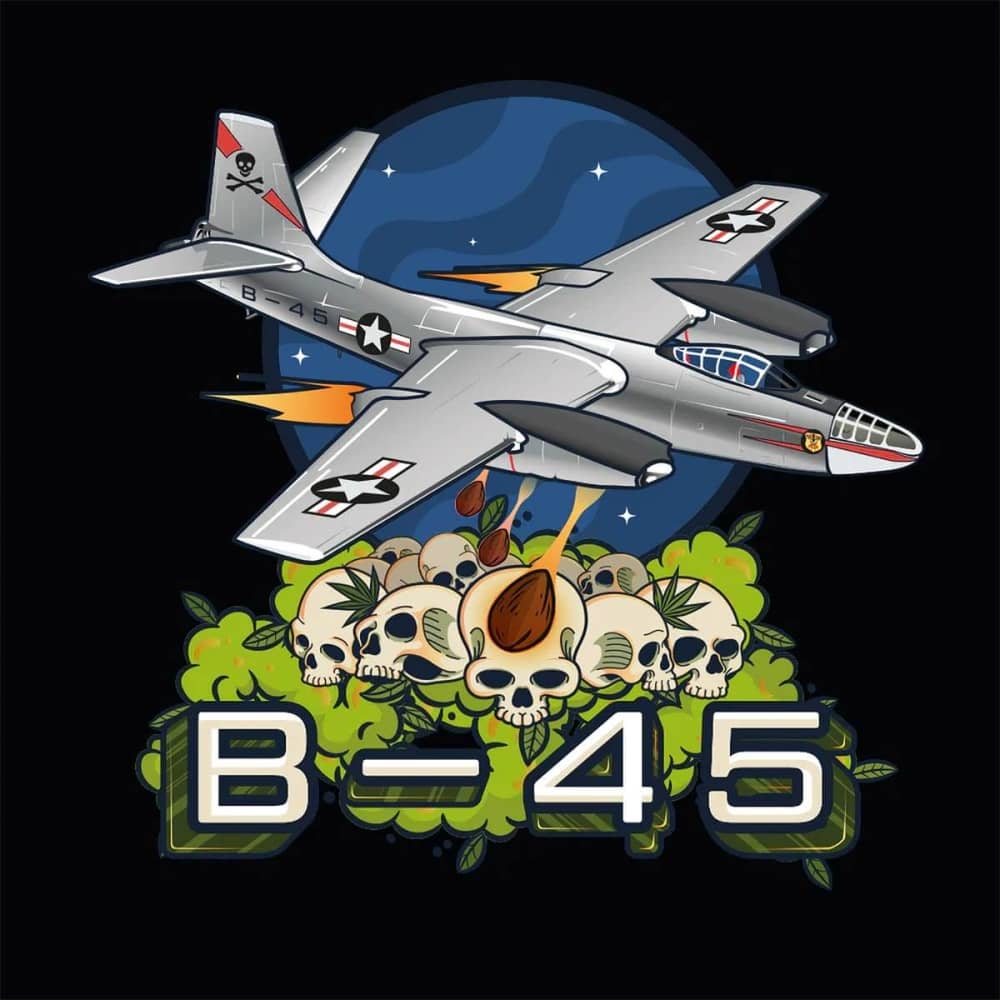 B-45 BY BOOBA (Silent Seeds) logo.