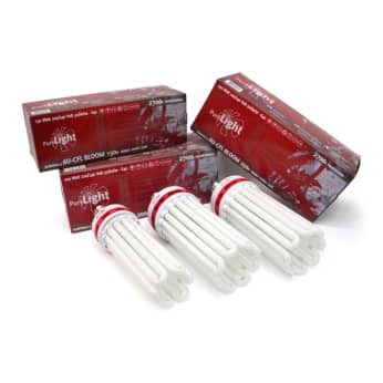 BOMBILLA PURE LIGHT CFL BLOOM 2700K (The Pure Factory)