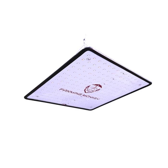 LED SMD BLOOM (Farming Monkey) panel 35w.