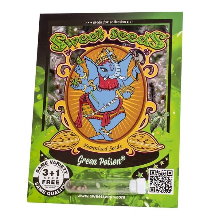 Paquete de semillas Green Poison de Sweet Seeds. Disponibles en formato de 3+1, 5+2 y 25 unidades