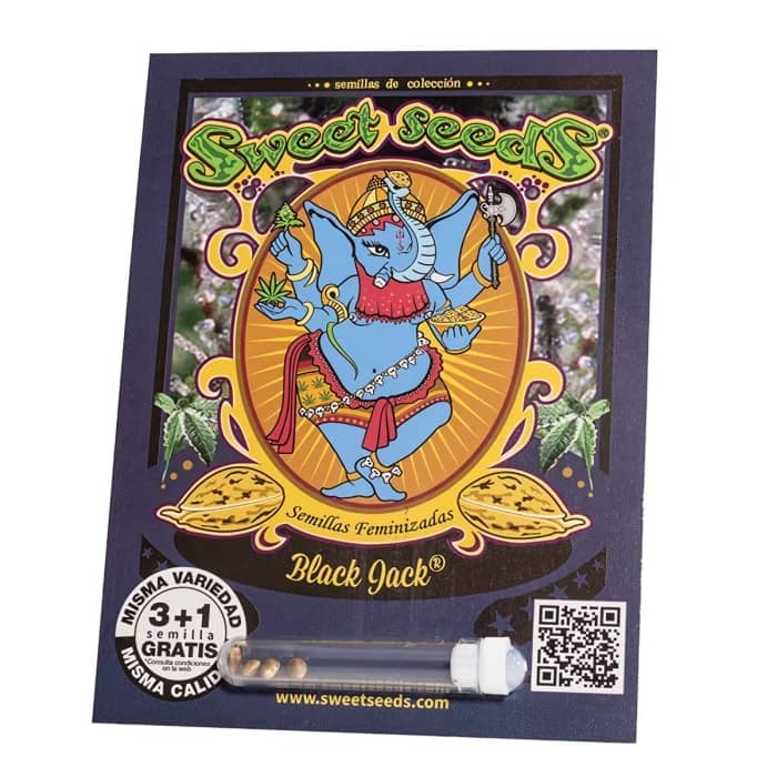 Paquete de semillas de marihuana Black Jack. Disponible en formato de 3+1 y 5+2