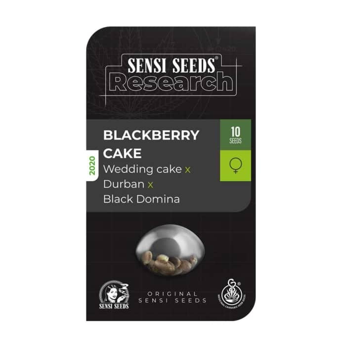 Paquete semillas BlackBerry Cake de Sensi seeds