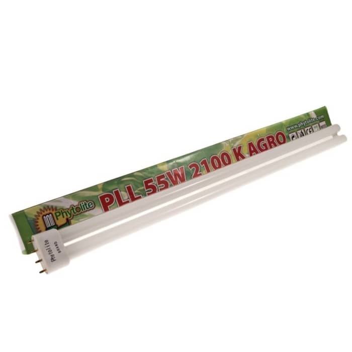 FLUORESCENTE PHYTOLITE FLORACION 2100K