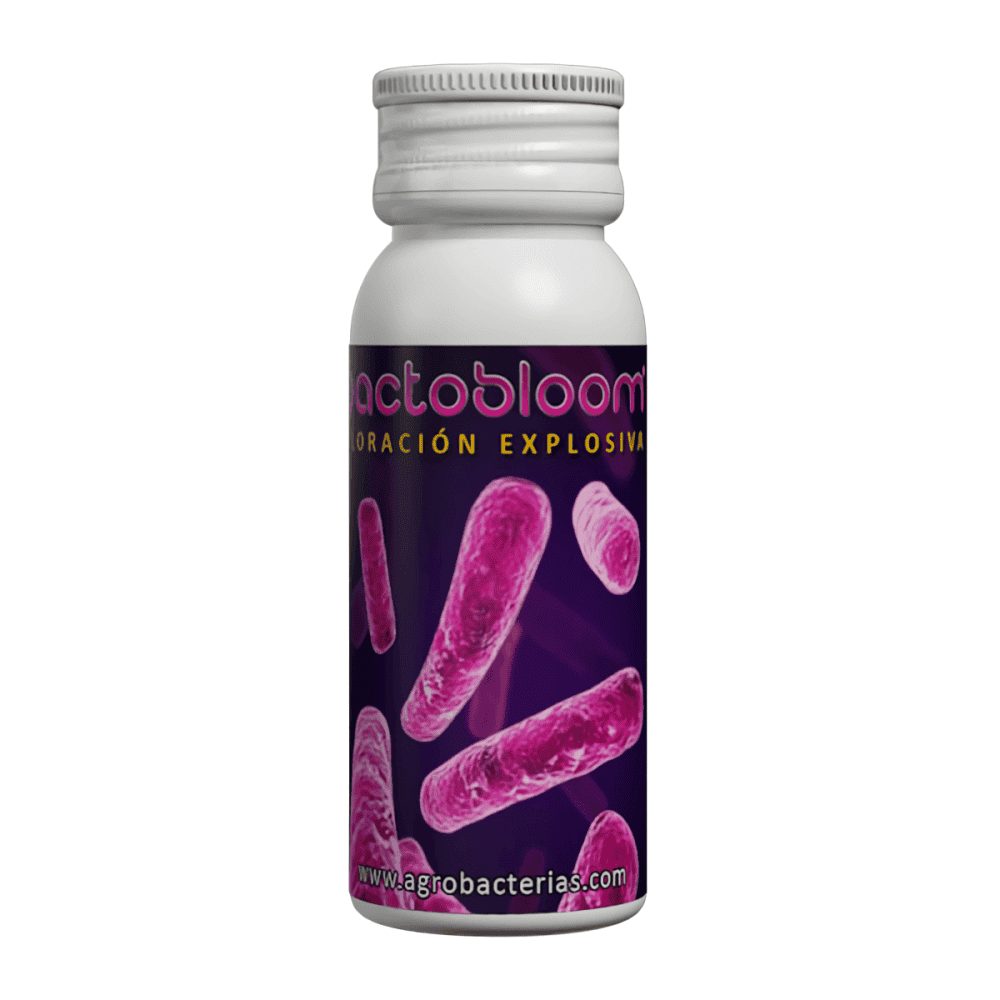 BACTOBLOOM (Agrobacterias) 10 gramos.