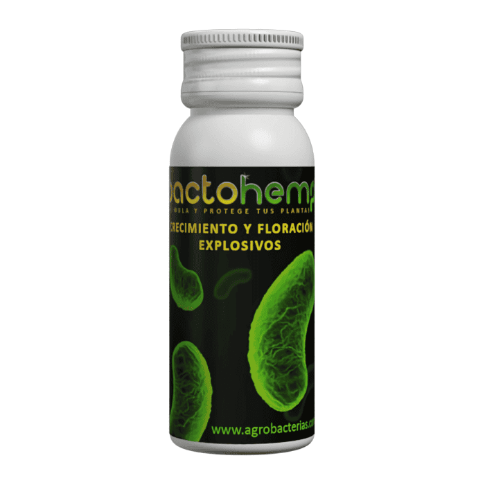 BACTOHEMP (Agrobacterias) 10 gramos.