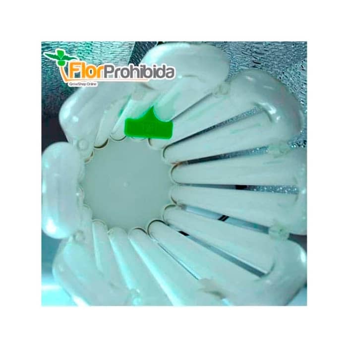 KIT 125W CFL PURELIGHT CON REFLECTOR MAXII (CRECIMIENTO)