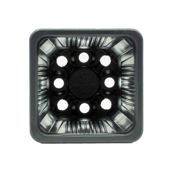 Culo de la maceta de plástico negra de 7x7 cm
