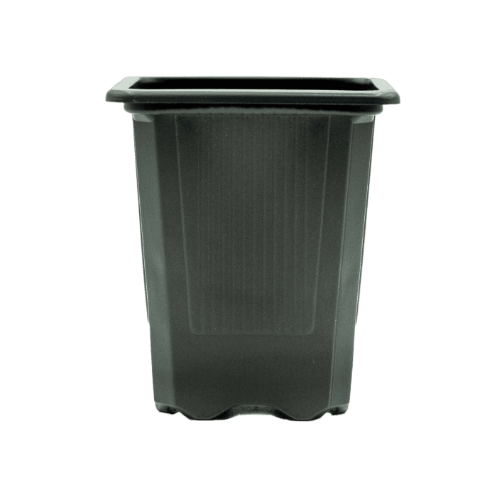 Maceta cuadrada plástico negro de 230 ml de capacidad