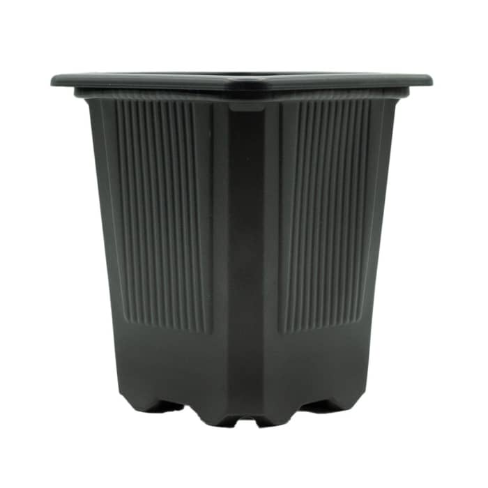 Maceta plástico cuadrada 7x7x8 cm y 230ml de capacidad