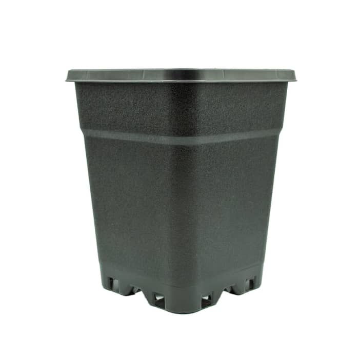 maceta de plástico cuadrada negra 5 Litros