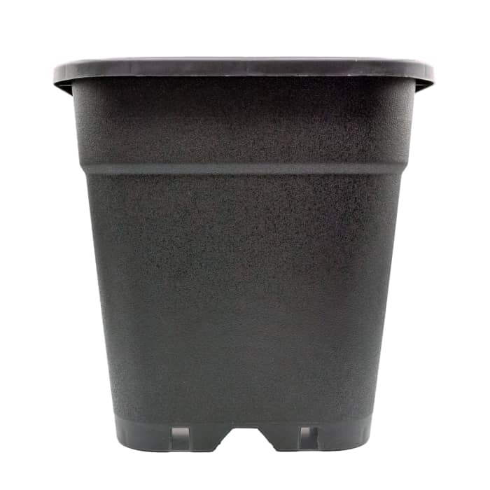Maceta cuadrada plástico de 18L con medidas de 31x31x31 cm