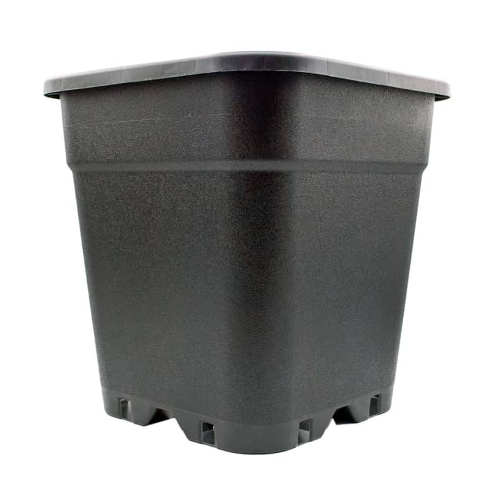 Maceta plástico negro 8L y medidas de 31x31x31 cm
