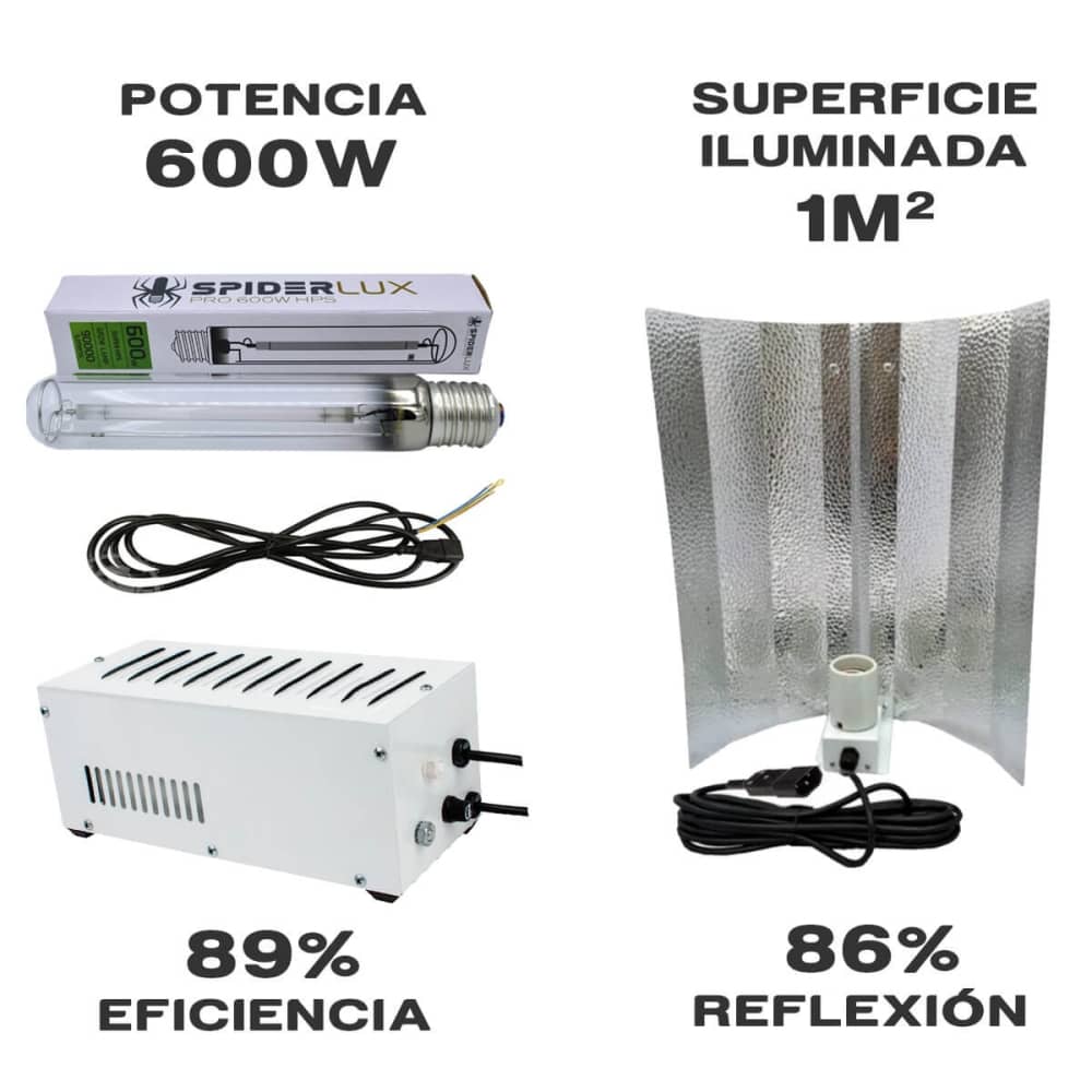 Kit de iluminación magnético sodio 600w + Lumii Black