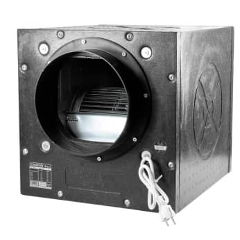 EXTRACTOR FOAM BOX IN/OUT 250