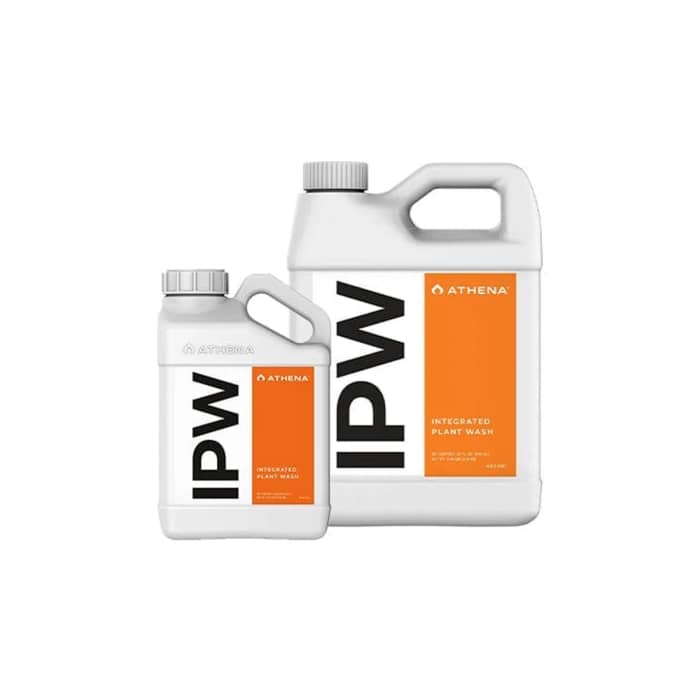 IPW de Athena