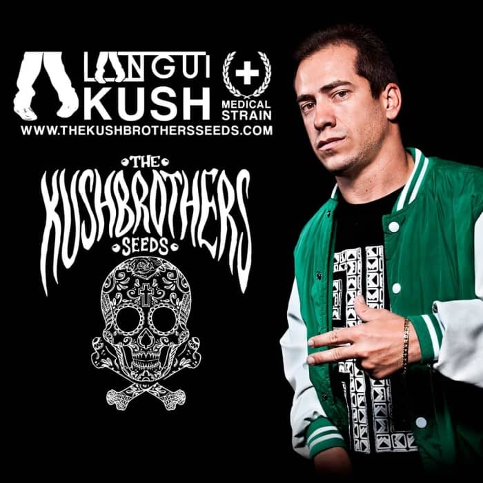 LANGUI KUSH (The Kush Brother Seeds)