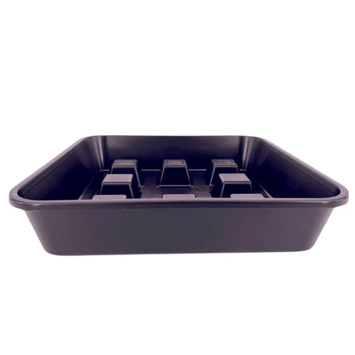 PLATO CUADRADO ELEVADO 50 UDS