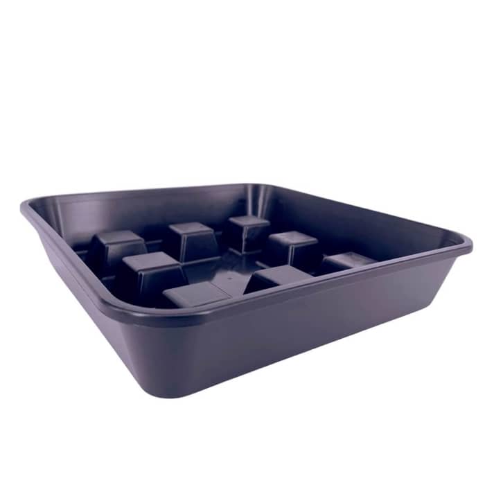PLATO CUADRADO ELEVADO 50 UDS
