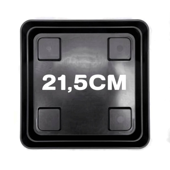 PLATO CUADRADO ESPECIAL 21,5x21,5CM