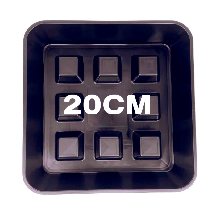 PLATO CUADRADO ELEVADO 50 UDS