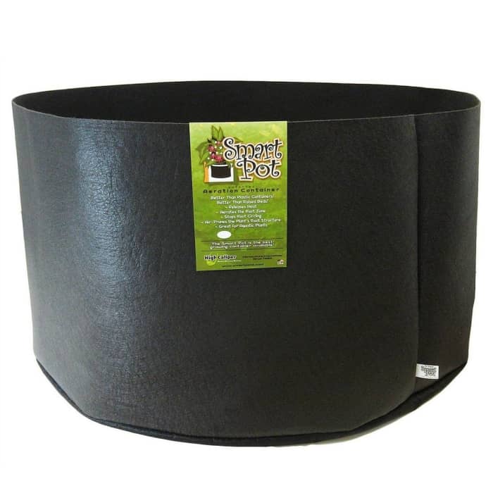 MACETA SMART POT NEGRA