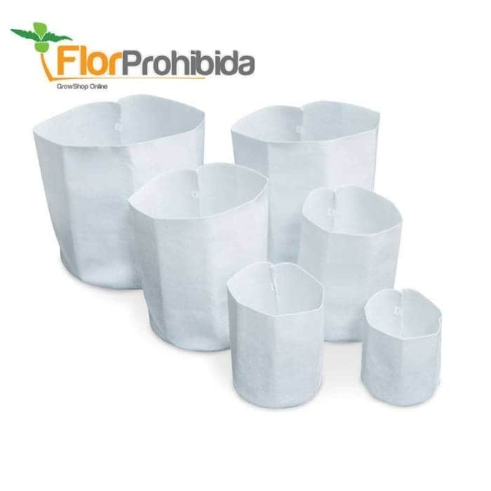 Maceta de tela blanca Root Tex.