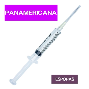 JERINGA ESPORAS SUSPENSION PANAMERICANA