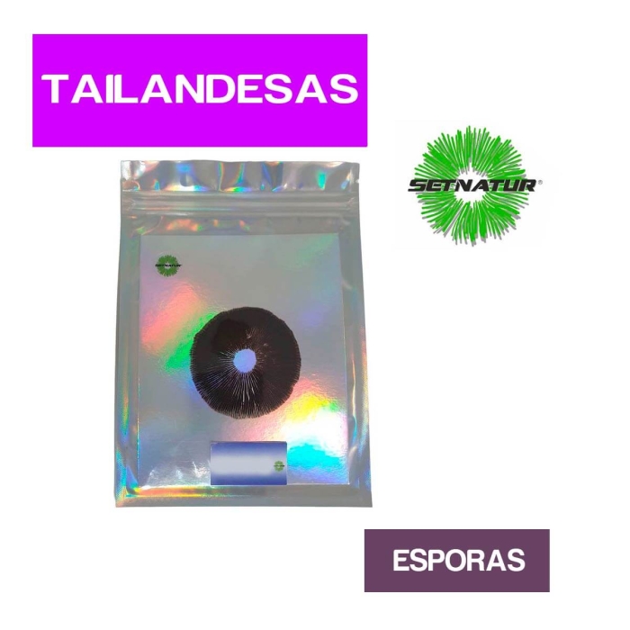 PRINT DE ESPORAS TAILANDESAS