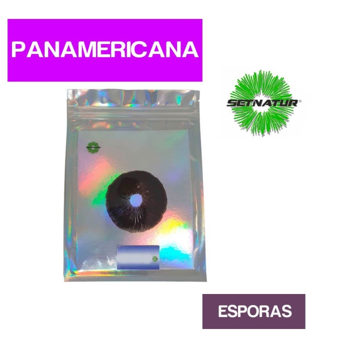 PRINT DE ESPORAS PANAMERICANA