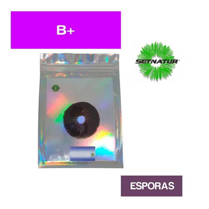 PRINT DE ESPORAS B+