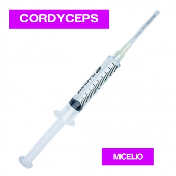 JERINGA MICELIO CORDYCEPS