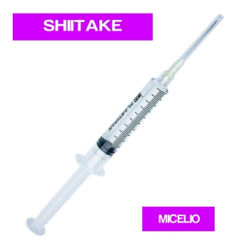 JERINGA MICELIO SHIITAKE