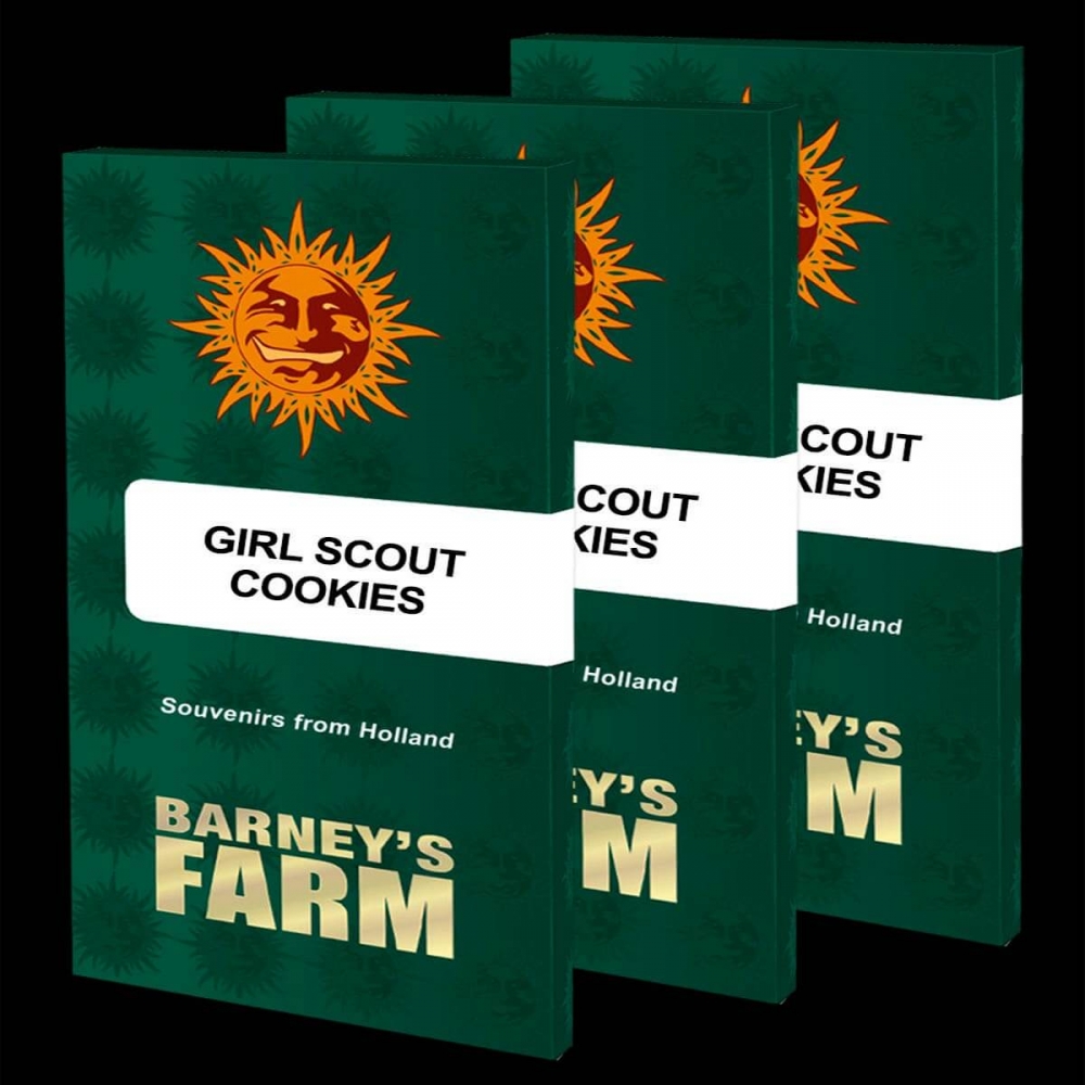 GIRL SCOUT COOKIES (Barney's Farm Seeds)