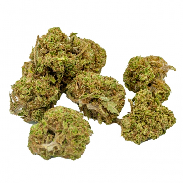 FLORES CBD GELATO FP 3g  y 10g cogollos