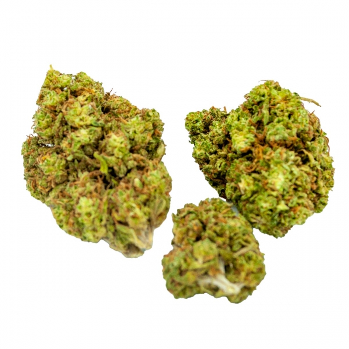 FLORES CBD MIMOSA FP
