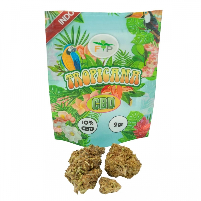 FLORES CBD TROPICANA FP 2g