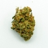 Cogollos de marihuana CBD Amnesia Lemon FP - Envase de 2 y 10 gramos