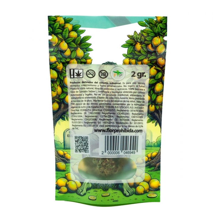 Amnesia Lemon FP - parte trasera 2G