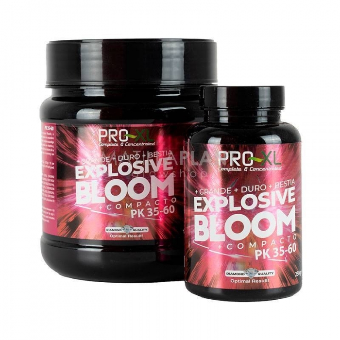 Explosive Bloom varios formatos