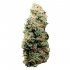 Semillas de marihuana feminizadas autoflorecientes AUTO TITAN F1 (Royal Queen Seeds) cogollo seco