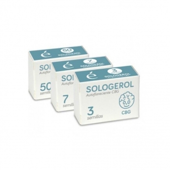 AUTO SOLOGEROL CBG (Elite Seeds)