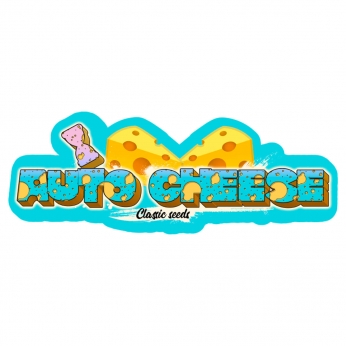 Semilla marihuana feminizada autofloreciente auto cheese (classic seeds)